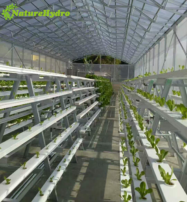Hydroponic NFT channel growing system Shanghai Dehuan Industry Co. , Ltd