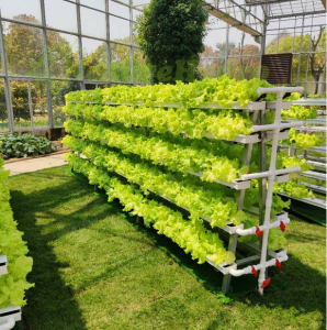 Hydroponic Vertical Farming A Shaped NFT Grow System