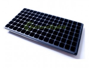 Nursery trays and seedling
