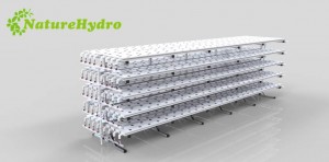 Greenhouse I Shaped Nft Hydroponic Grow System
