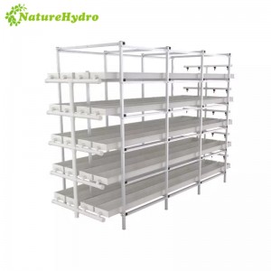 Hydroponic Microgreen System
