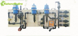 Hydroponic Fertigation System