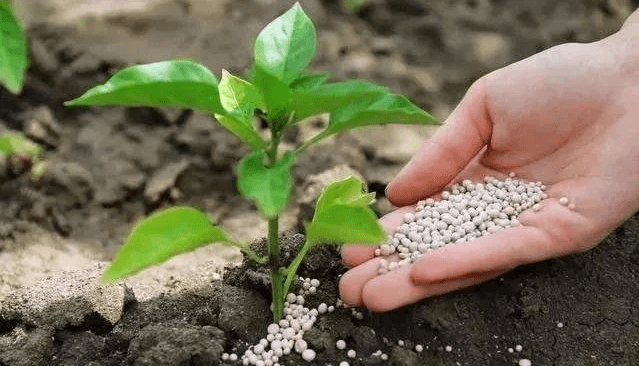 Agricultural Inoculants Market Expected to Reach $1.7 Billion by 2027 South America is the Fastest Growing Region
