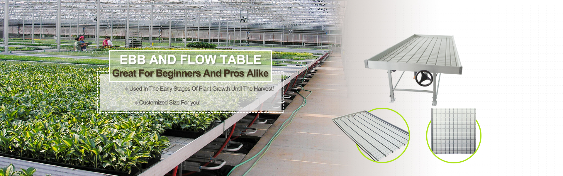 Flood Rolling Bench
