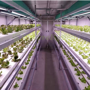 NFT Container system