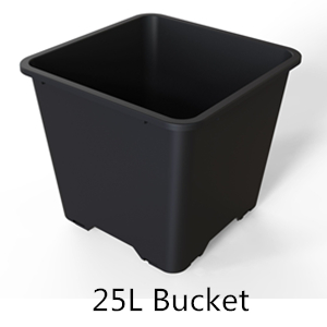25L Square Blueberry Bucket