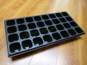 Nursery trays and seedling