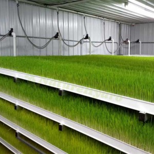 Commercial Modular Fodder System
