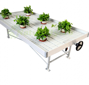 Display And Sales Bench For Home Garden