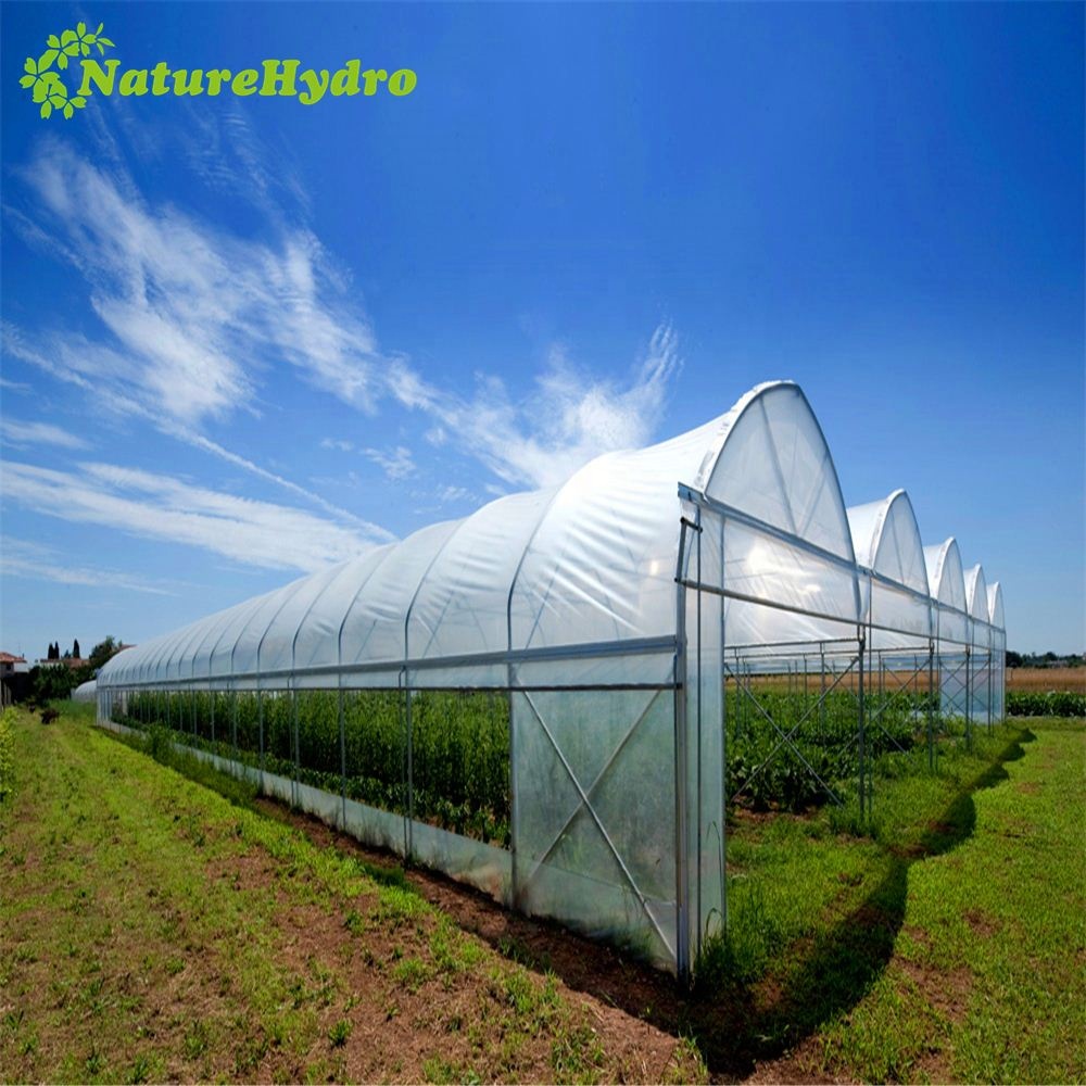 Sawtooth Greenhouse Shanghai Dehuan Industry Co. , Ltd
