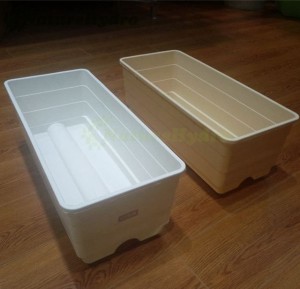 Dutch Bato Bucket