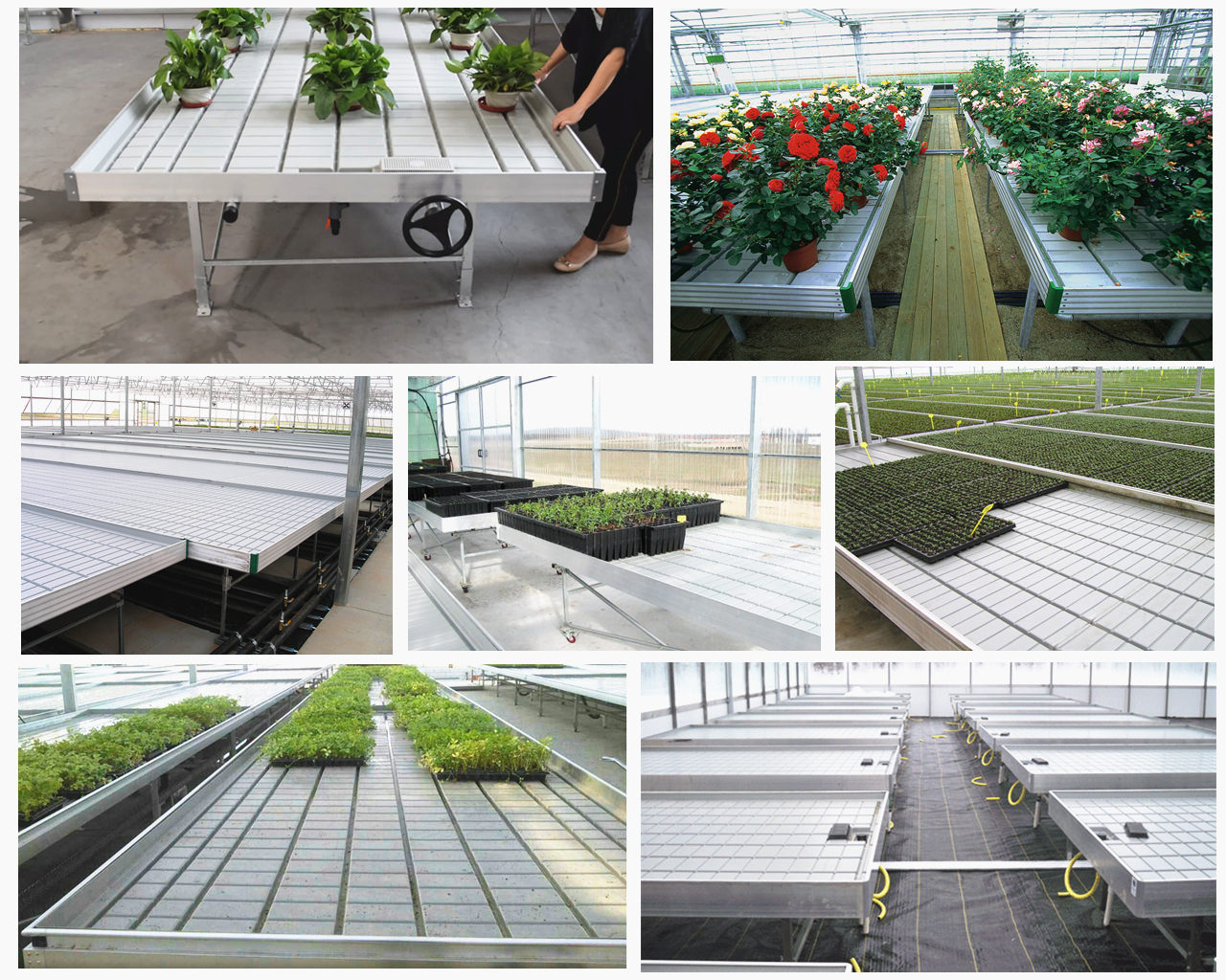Hydroponic Plastic 4×8 Ebb Flow Tray For Racks Shanghai Dehuan