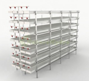 Daily Output 125kg Layer Barley Fodder System
