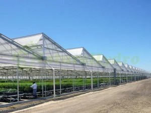 Commercial Tropical Sawtooth Greenhouse