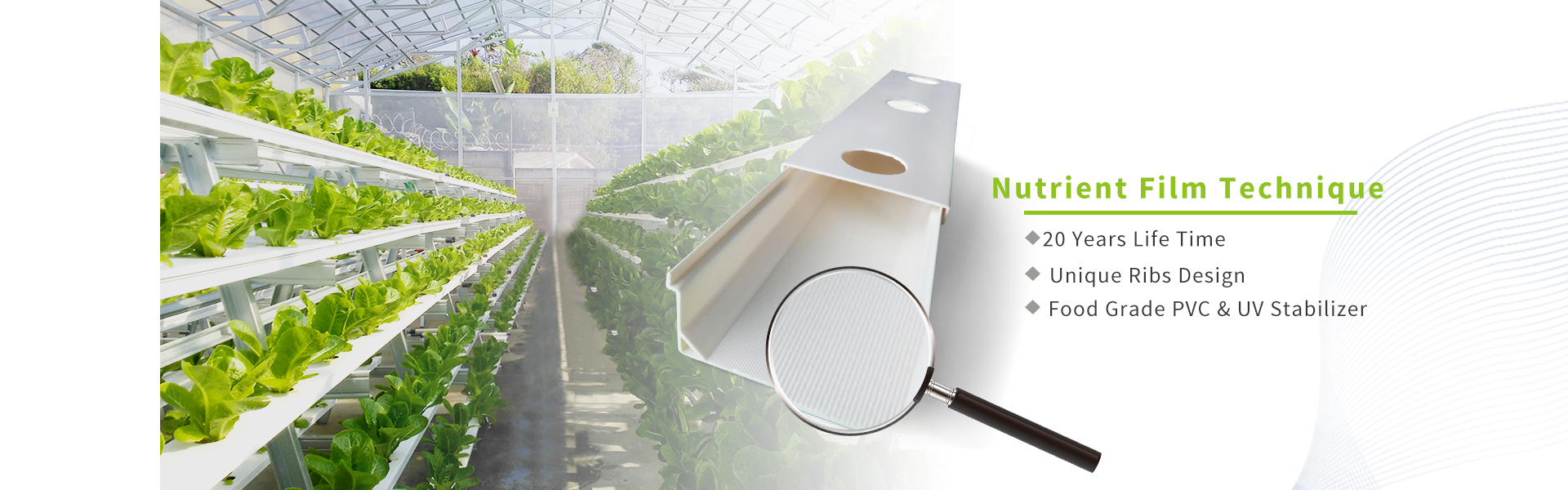 Hydroponic NFT Growing System