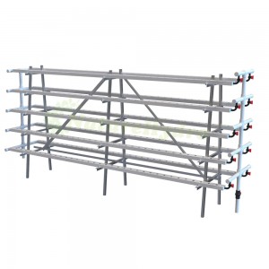 Hydroponic Vertical Farming A Shaped NFT Grow System