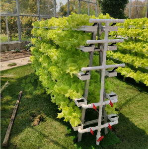Hydroponic Vertical Farming A Shaped NFT Grow System