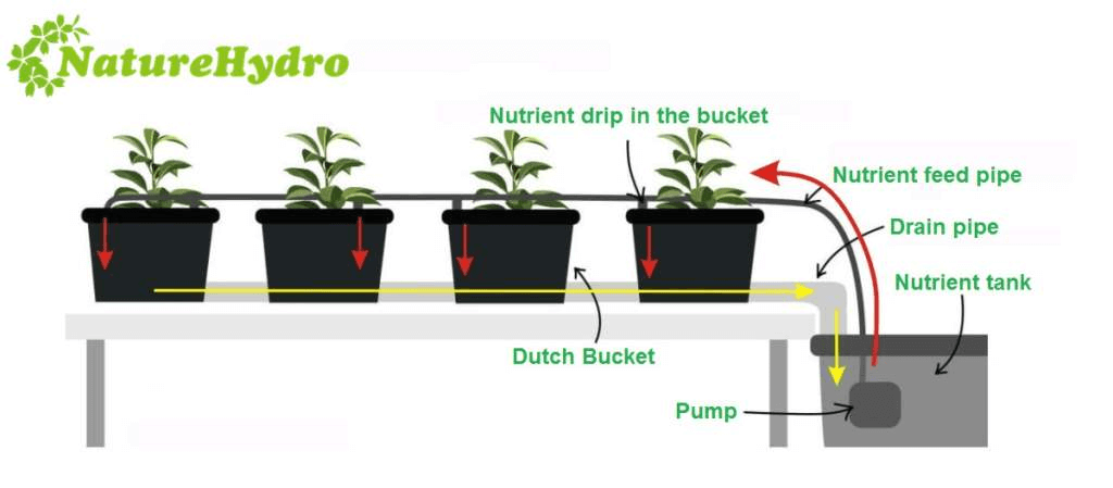 https://www.naturehydro.com/11l-hydroponic-dutch-bucket.html