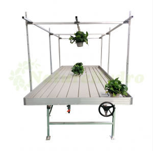 Rolling Benches With Trellies For Hydroponics
