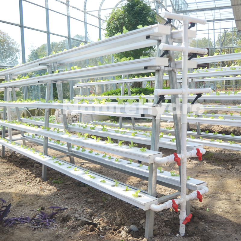 Hydroponic NFT channel system for greenhouse Shanghai Dehuan Industry