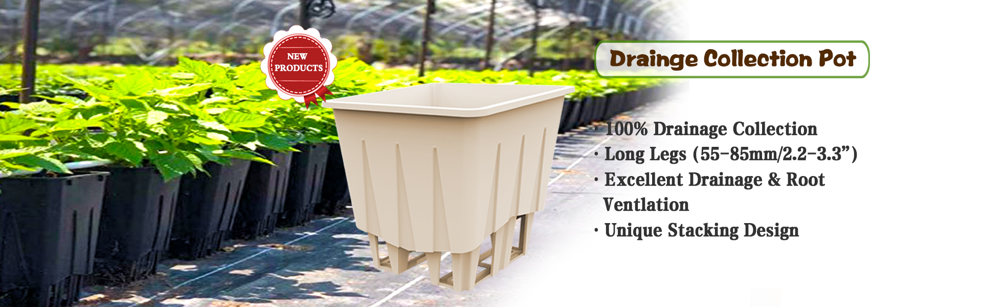 Dutch Buckets