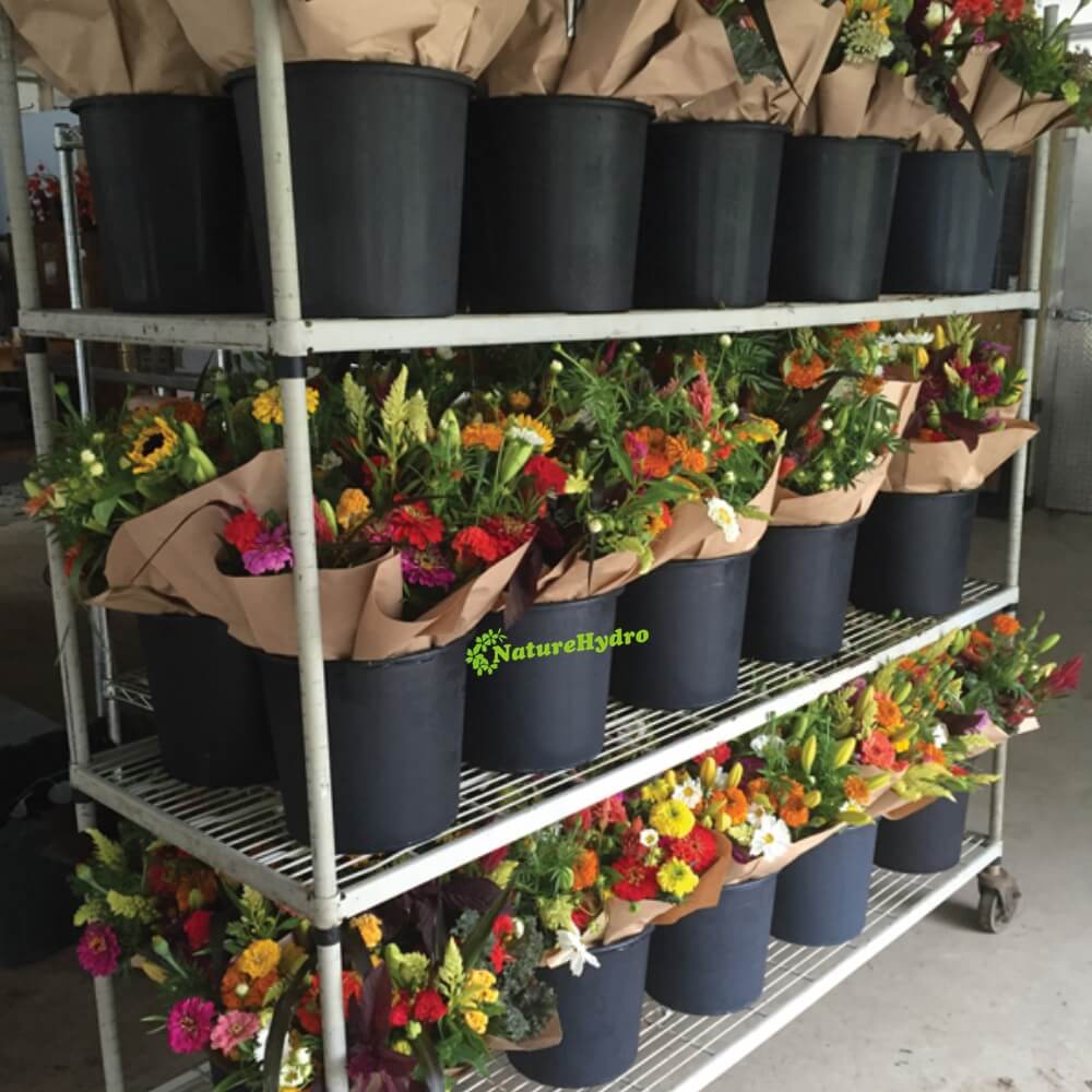 flower buckets wholesale