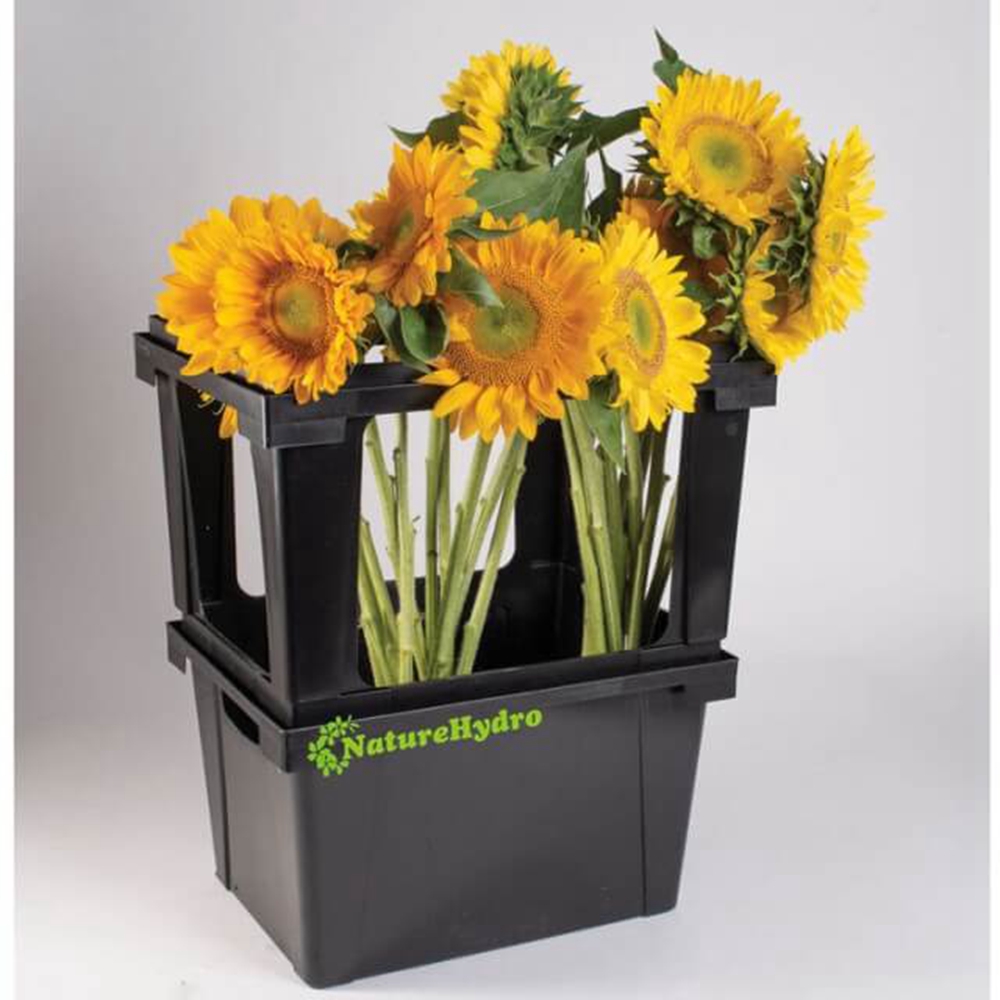 flower transport container