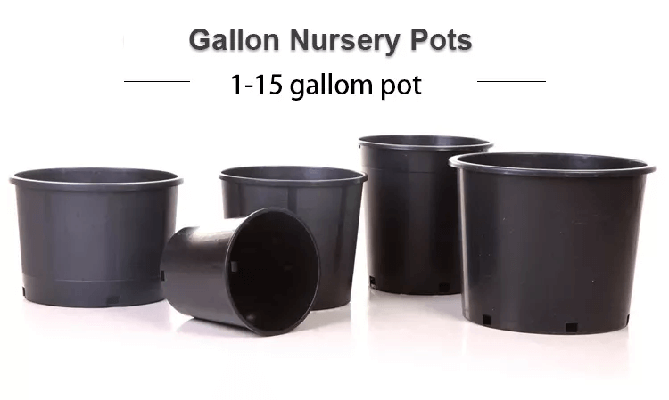 https://www.naturehydro.com/black-plastic-flower-nursery-gallon-pot.html
