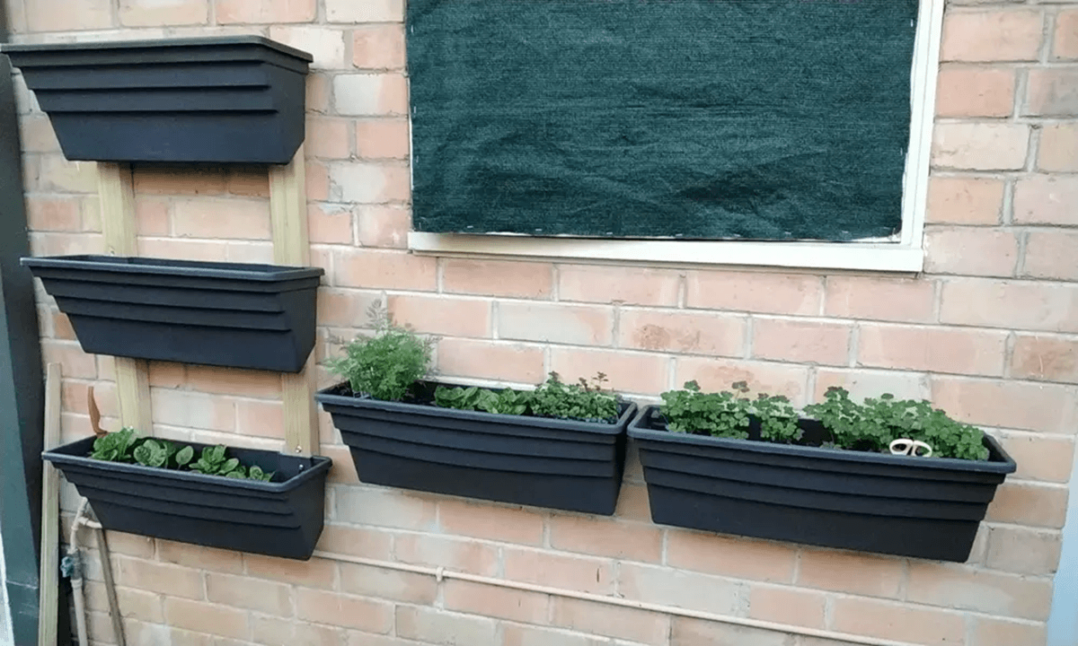 garden wall planters