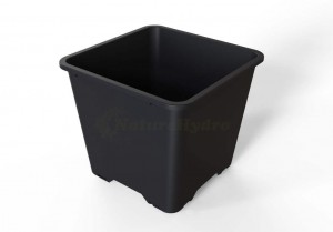 25L Square Blueberry Bucket