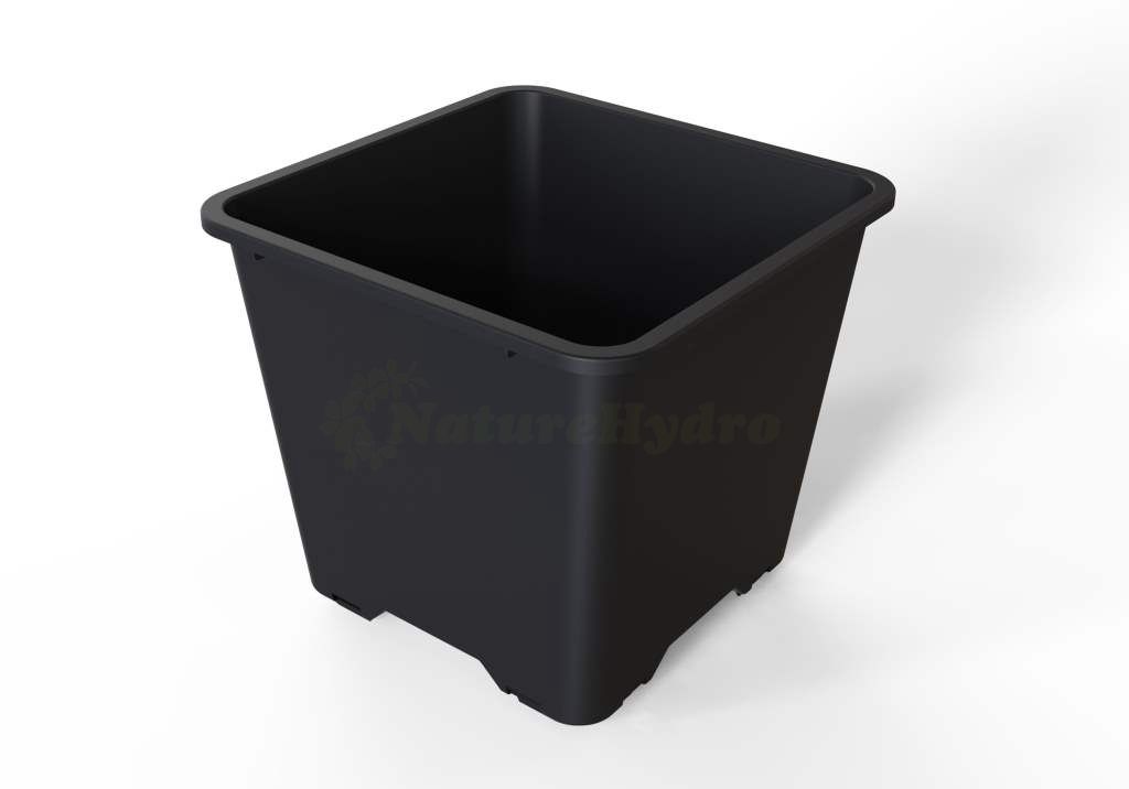 25L Square Blueberry Bucket Featured Image