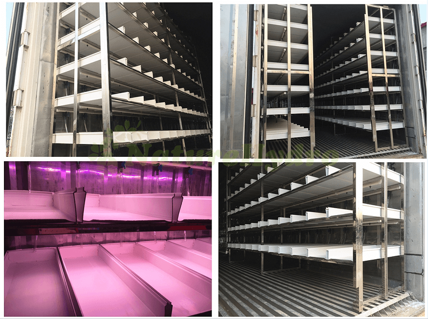 hydroponic container farming