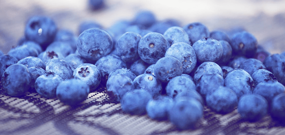 https://www.naturehydro.com/25l-blueberry-round-grow-pot.html