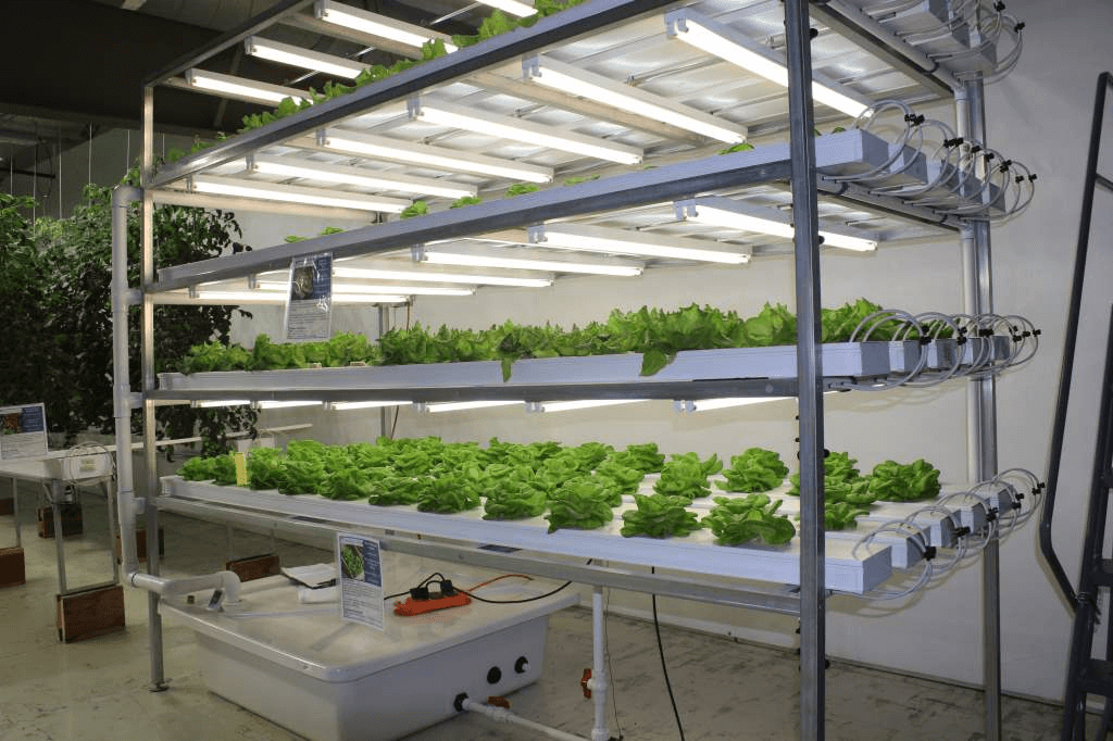 nft hydroponics kit