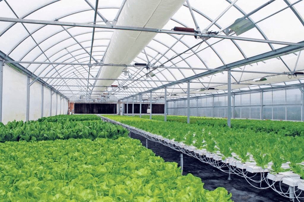nft system hydroponics