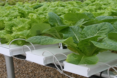 Agriculture Series