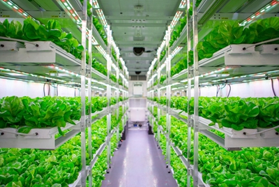 Planting Factory