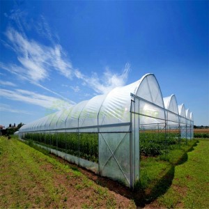 Commercial Tropical Sawtooth Greenhouse
