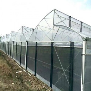 Sawtooth Greenhouse