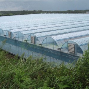 Commercial Tropical Sawtooth Greenhouse