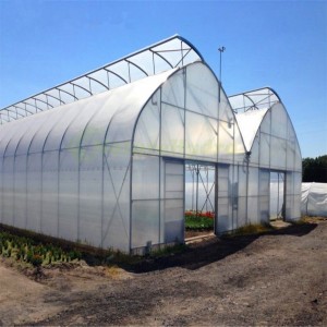 Sawtooth Greenhouse